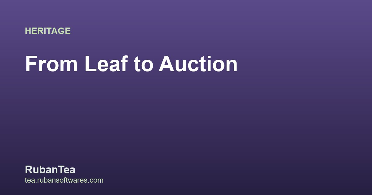 From Leaf to Auction: How Tea Reaches You