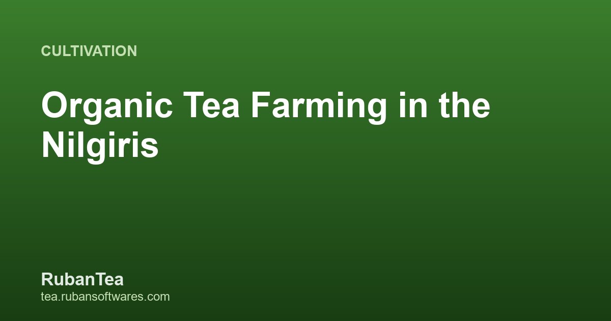 Organic Tea Farming in the Nilgiris