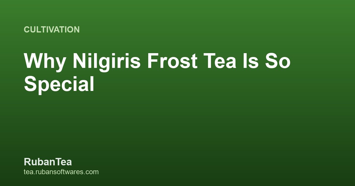Why Nilgiris Frost Tea Is So Special